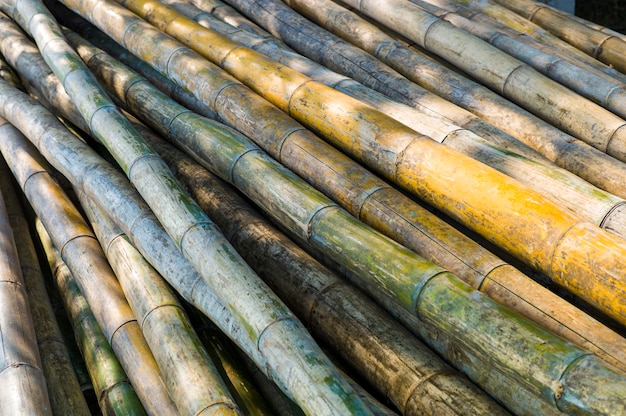 Asian bamboo log Free Photo