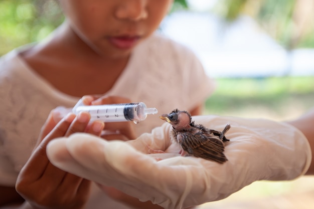 注射器で赤ちゃんスズメ鳥に水と食べ物を餌アジアの子供の女の子 プレミアム写真