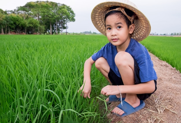 asian rice field hat