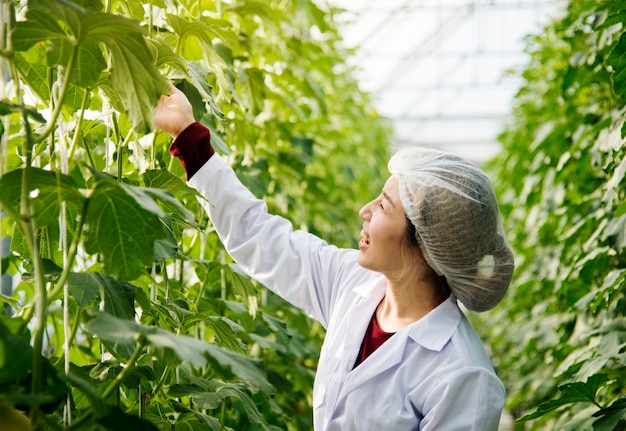 premium-photo-asian-scientist-studying-plant-leave