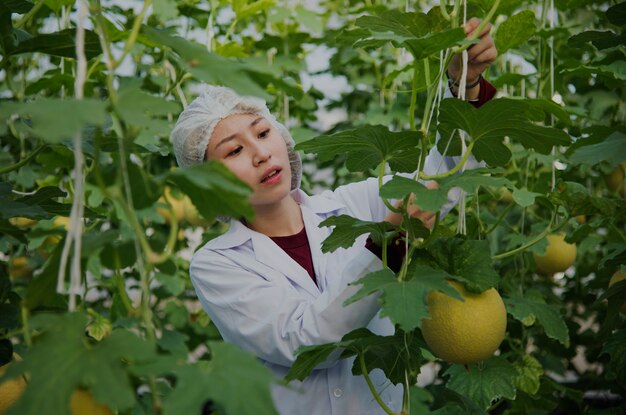 Premium Photo | Asian scientist studying plants and fruits