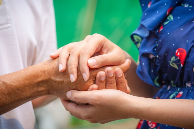 Asian senior and asian young holding hands. Premium Photo