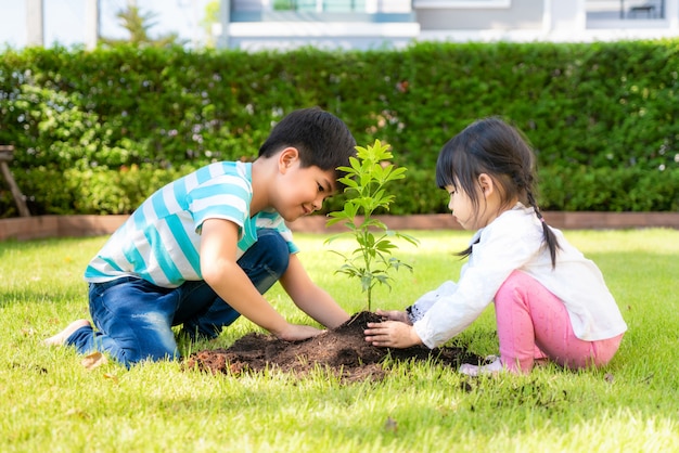 アジアの兄弟の兄と妹が夏の日に家の庭で世界を救うように一緒に黒い土に若い木を植える 植栽の木 プレミアム写真