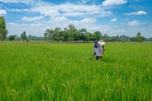 Premium Photo | Asian thai farmer to herbicides or chemical fertilizers ...