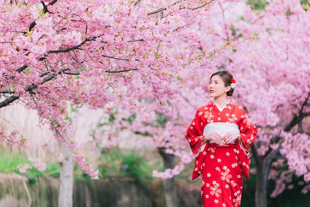 Premium Photo Asian Woman Wearing Kimono With Cherry Blossoms Sakura In Japan