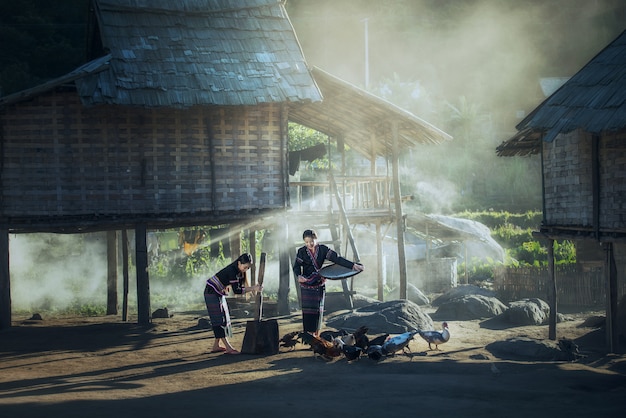 Asian women worker winnowing rice separate between rice and rice husk and feeding chickens Premium Photo