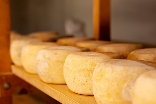 Free Photo | Assortment of delicious rustic cheese