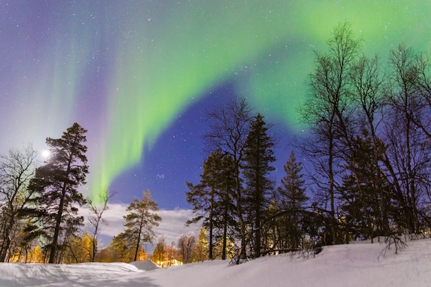 Premium Photo | Aurora borealis over a forest with artificial lighting