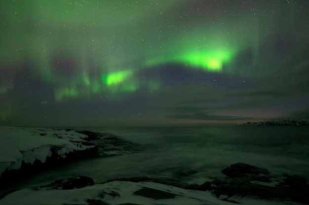 Premium Photo | Aurora borealis. northern lights. teriberka. murmansk ...