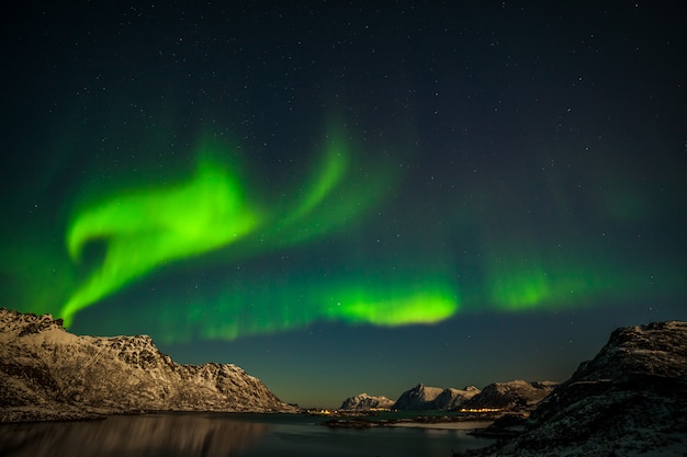 Premium Photo | Aurora borealis, sea with sky reflection and snowy ...