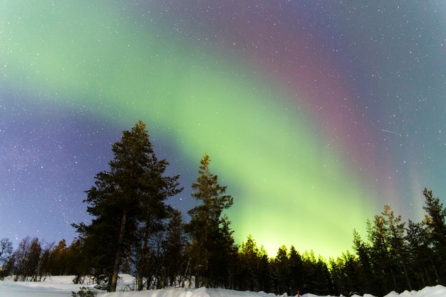 Premium Photo | Aurora borealis of various colors (green and red) over ...