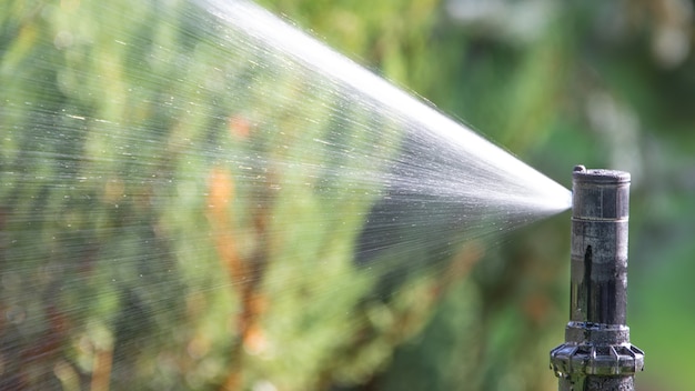 Premium Photo | Automatic watering sprinkler