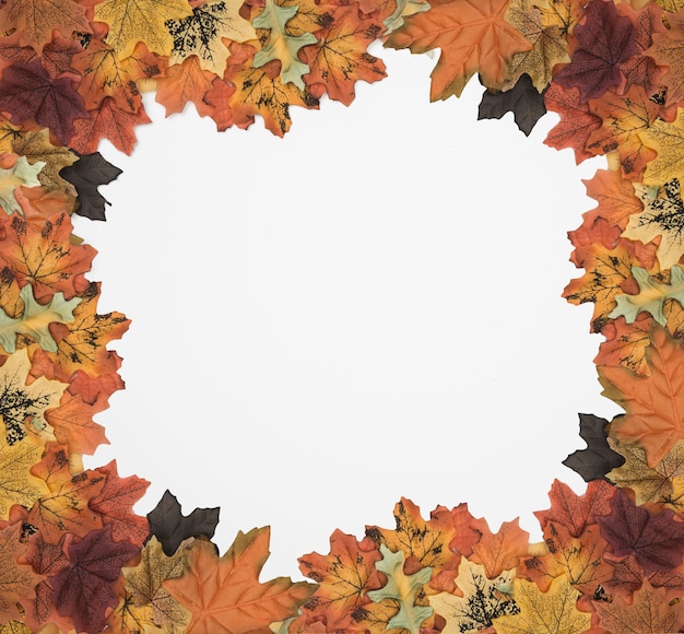 Free Photo | Autumn foliage picture frame