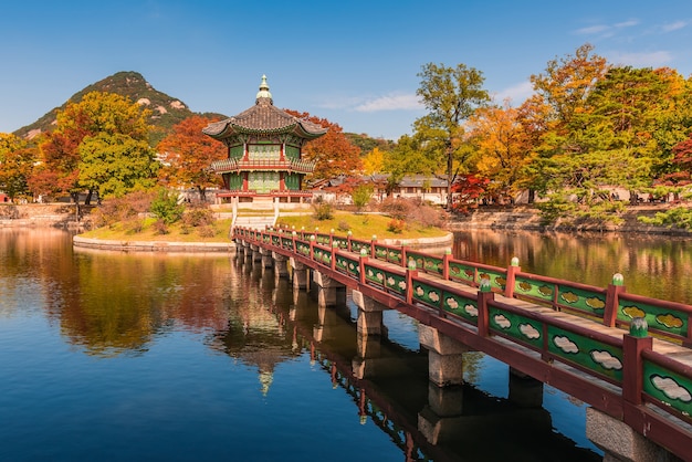 Premium Photo | Autumn of gyeongbokgung palace in seoul ,korea.