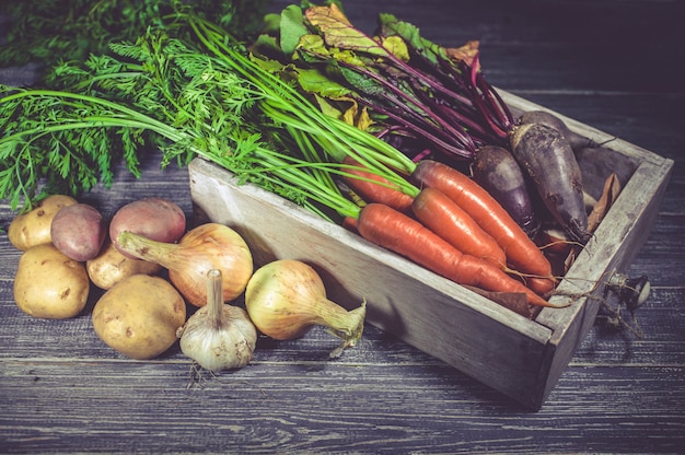 Premium Photo | Autumn harvest. fresh carrots, beet, onions, garlic and ...