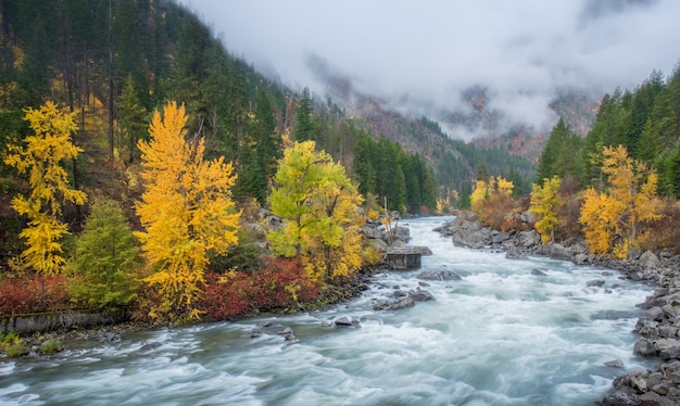 Premium Photo | Autumn hdr with fog over mountain in leavenworth