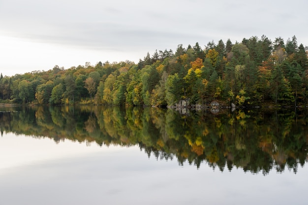 湖のほとりの秋の風景 秋の色の木々 無料の写真