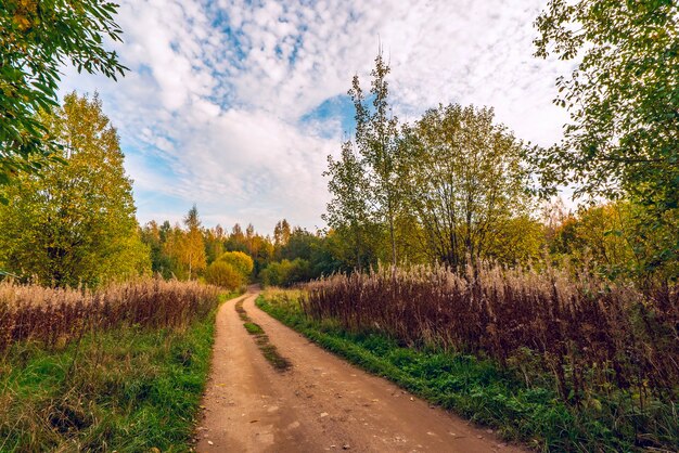 Дорога вдаль фото