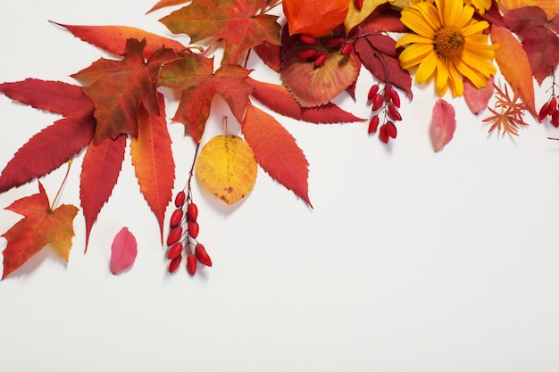 Фото Осенние Цветы И Листья