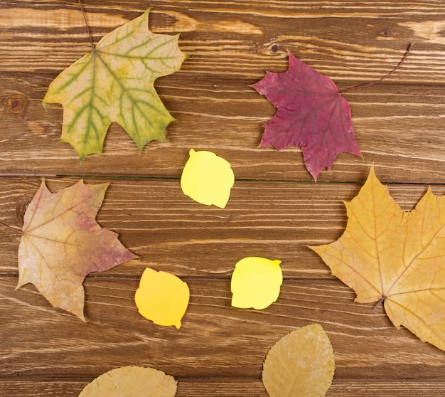 Autumn Leaf Shaped Stickers