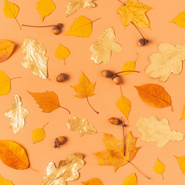 Premium Photo | Autumn leaves on a pastel background