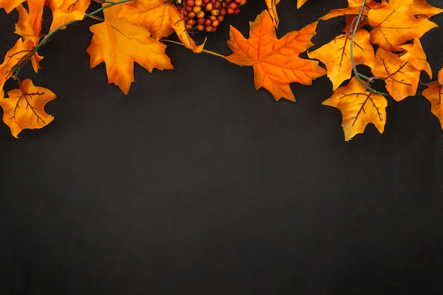 Autumn Wallpaper With White Space