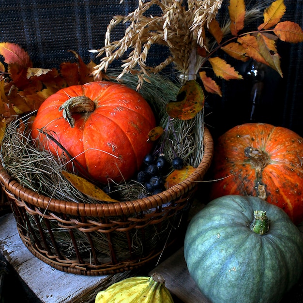 Premium Photo | Autumn pumpkin rustic