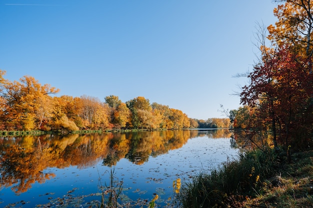 Premium Photo | Autumn river bank with colorful trees