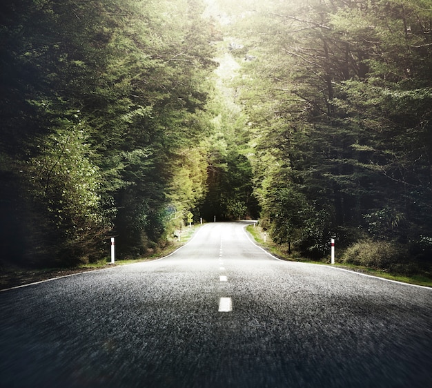 Autumn Themed Country Road With Mountain Range Concept Free Photo