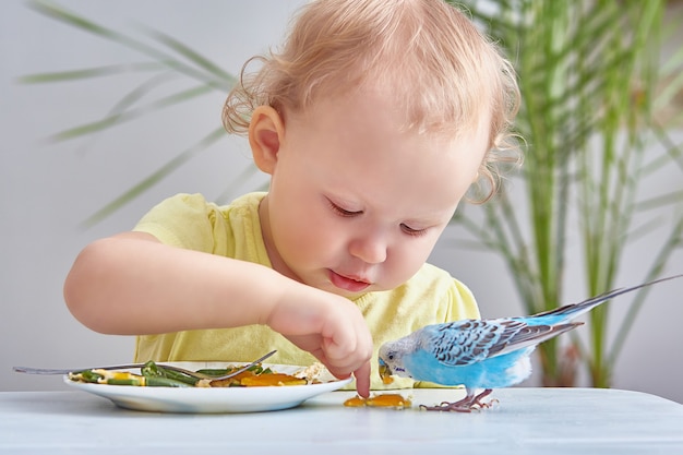 赤ちゃんとペット 巻き毛の幼児は彼の皿からセキセイインコを養います プレミアム写真