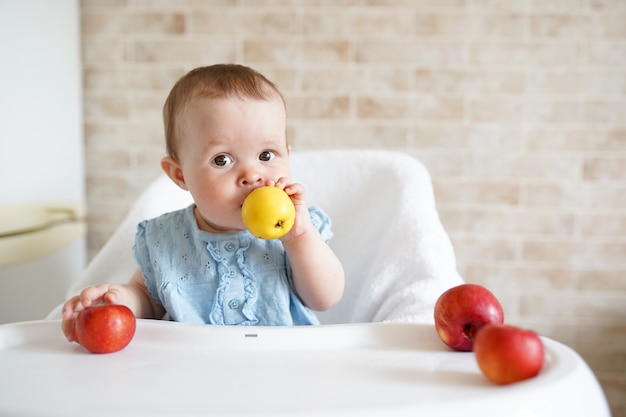果物を食べる赤ちゃん 日当たりの良いキッチンの白い高い椅子に座っている黄色いリンゴをかむ少女 プレミアム写真