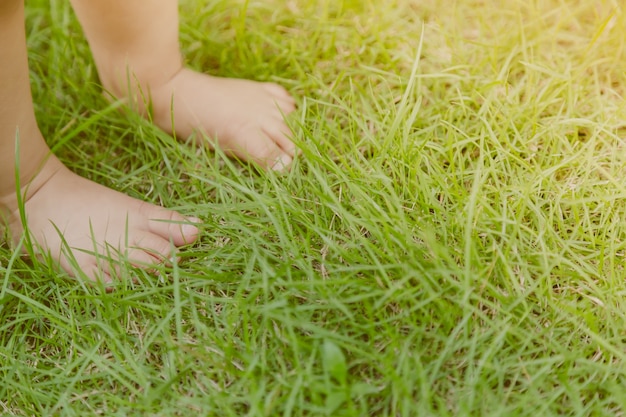 芝生の上に赤ちゃんの足 無料の写真