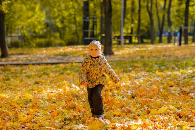 Прогулка В Осеннем Парке Фото