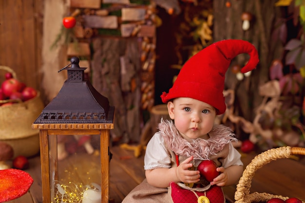 baby girl gnome costume