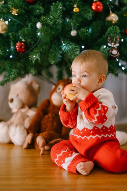 赤いニットのボディースーツを着た赤ちゃんがクリスマスツリーの前でリンゴを食べています プレミアム写真
