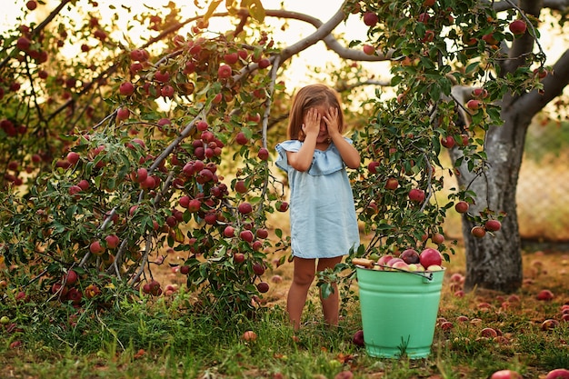 baby-in-apple-garden-child-picking-apples-on-farm-in-autumn_108930-2652.jpg