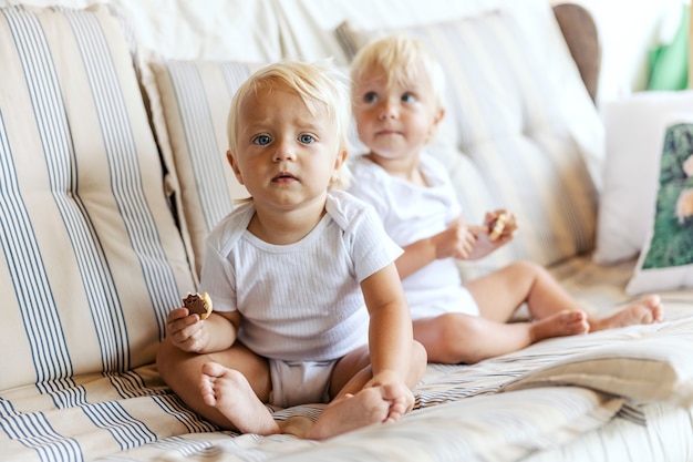 Premium Photo Baby Twins On The Couch Eating Cookies Cute Babies In White Baby Body Hold A Cake In Their Hand On The Sofa They Look Thoughtfully At Where Their Parents