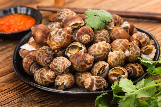 Premium Photo | Babylonia areolata shellfish seafood on bowl ready for ...