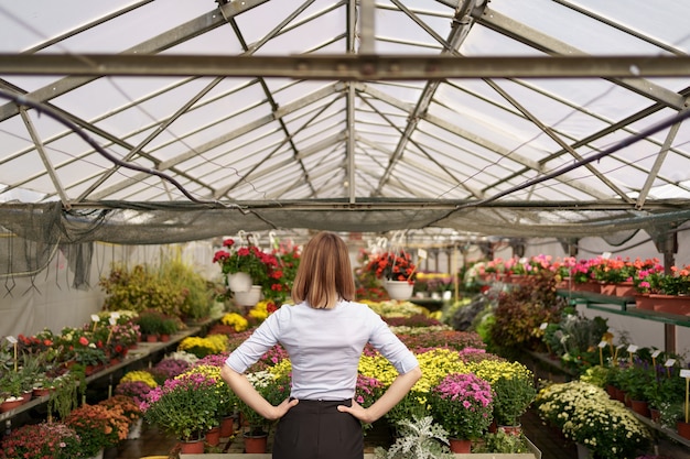 彼女の仕事の結果を見ている女性起業家の背面図 さまざまな種類の花を見ている温室の所有者 無料の写真