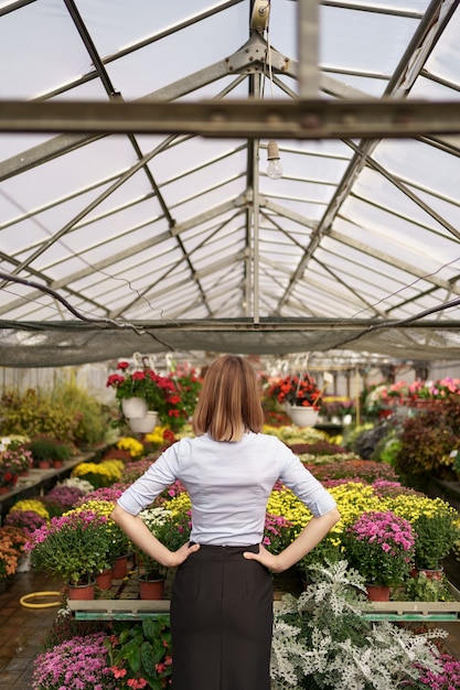 彼女の仕事の結果を見ている女性起業家の背面図 さまざまな種類の花を見ている温室の所有者 無料の写真