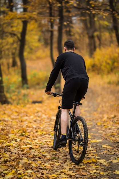 Free Photo - Back View Young HanDsome Man RiDing Bicycle Forest RoaD Among Trees Sunset Sports Healthy Lifestyle Trip Rainforest 231208 925