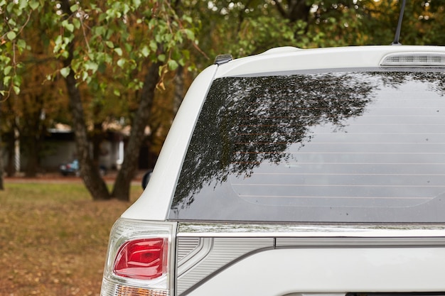 Download Premium Photo | Back window of white car parked on the ...