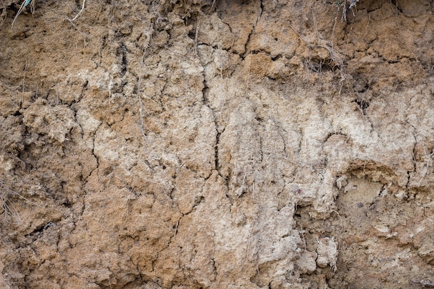 Premium Photo | Background of clay rock surface.clay is a building material