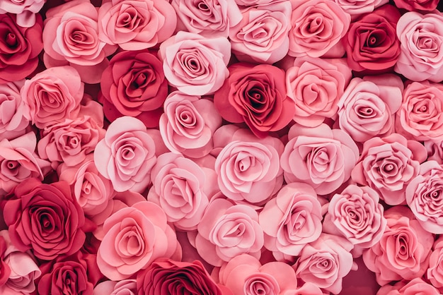 ピンクのバラの背景画像 プレミアム写真