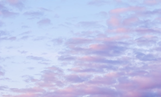 夕焼けのピンクの雲と青い空の背景 プレミアム写真