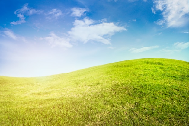 太陽の光と青空の曲線草原の背景 無料の写真