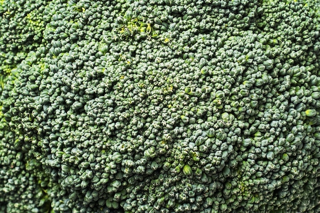 緑のブロッコリーの花序の背景 野菜の自然な食感 プレミアム写真