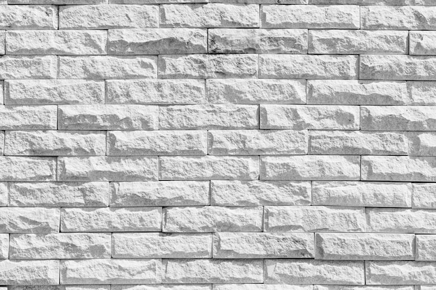 Premium Photo | Background white wall large texture.