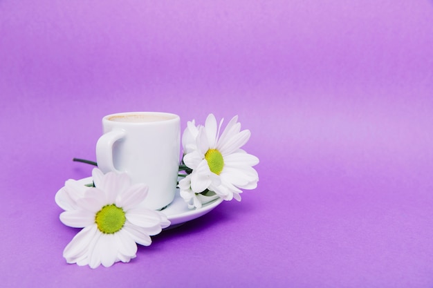 Background with flowers and cup | Free Photo