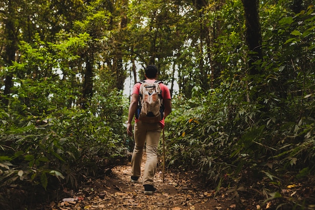 Free Photo | Backpacker Hiking In Forest